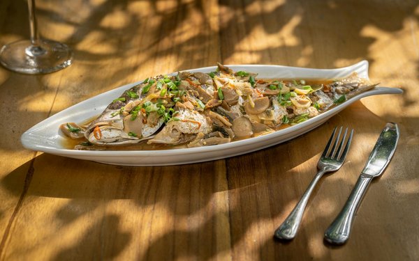 How Has Rugby Union Evolved in the UK Over Recent Years?